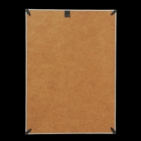 Фоторамка пластик L-2 21х30 см перламутр (пластиковый экран) Фоторамка пластик L-2 21х30 см перламутр (пластиковый экран)