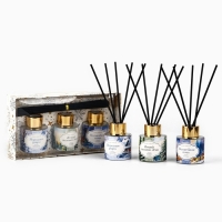 Новый год! Аромадиффузор ароматический палочки &laquo;Новогодняя коллекция: Зимний&raquo;, 50 мл