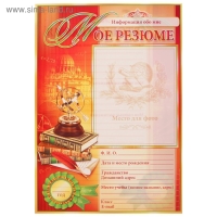 Папка "Портфолио выпускника", 8 листов, А4 Папка "Портфолио выпускника", 8 листов, А4