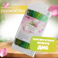 Набор ниток мулине, 8 &plusmn; 1 м, 7 шт, цвет зелёный спектр