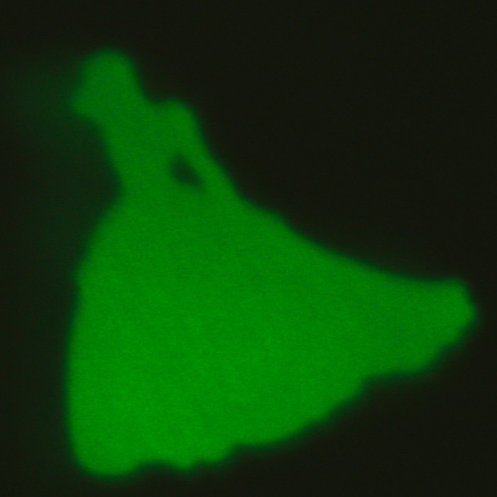 Большой набор опытов &laquo;Принцессы&raquo;, 7 весёлых опытов