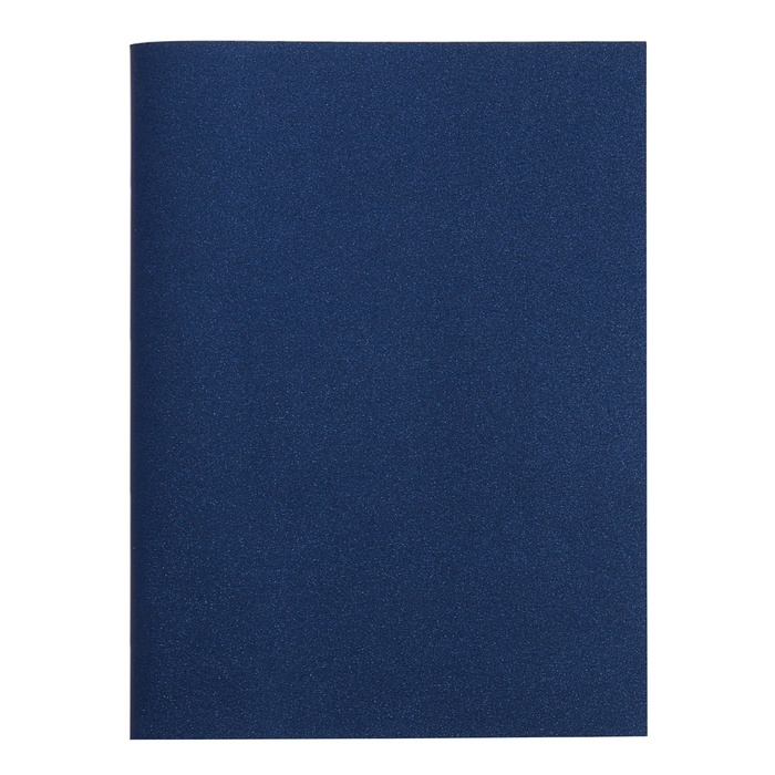 Тетрадь А4 96 листов в клетку Calligrata VIGO бумвинил VA0602 (Soft-touch), синий, блок офсет Тетрадь А4 96 листов в клетку Calligrata VIGO бумвинил VA0602 (Soft-touch), синий, блок офсет