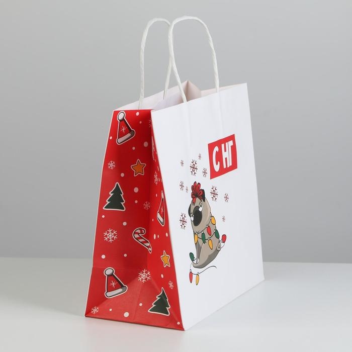 Пакет подарочный новогодний «А вас также», 22 х 22 х 11 см, Новый год Пакет подарочный новогодний «А вас также», 22 х 22 х 11 см, Новый год