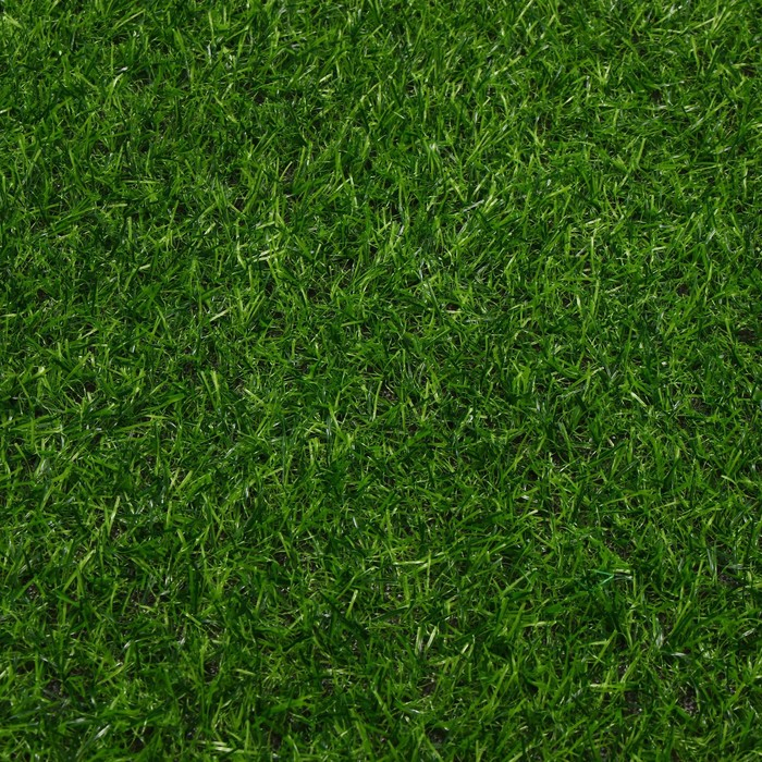 Газон искусственный, ворс 20 мм, 2 × 5 м, тёмно-зелёный, Greengo Газон искусственный, ворс 20 мм, 2 × 5 м, тёмно-зелёный, Greengo