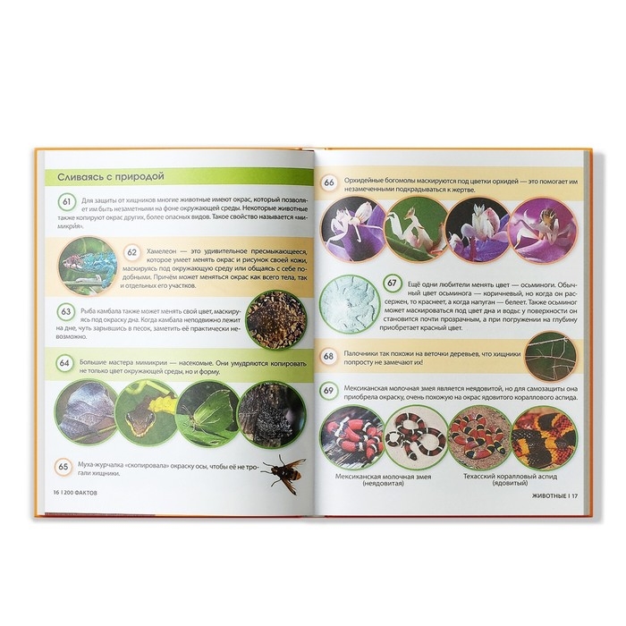 Энциклопедия &laquo;200 фактов о животных&raquo;, 48 стр.