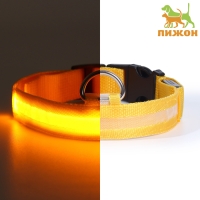 Ошейник с подсветкой размер L, ОШ 45-52 х 2,5 см 3 режима свечения жёлтый Ошейник с подсветкой размер L, ОШ 45-52 х 2,5 см 3 режима свечения жёлтый