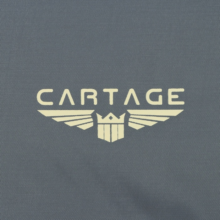 Термосумка Cartage Т-11, серая, 18 л, 35х21х24 см