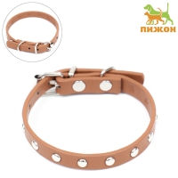 Ошейник клёпаный из искусственной кожи, 30,5 х 1 см, микс цветов Ошейник клёпаный из искусственной кожи, 30,5 х 1 см, микс цветов