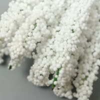 Декор для творчества "Иван чай" 1 букет=10 цветков белый 1,5х14 см Декор для творчества "Иван чай" 1 букет=10 цветков белый 1,5х14 см