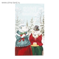 Полотенце "Этель" Winter holidays 40х73 см, 100% хл, саржа 190 гр/м2