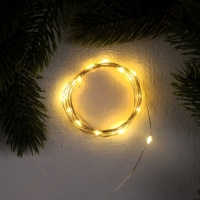 Гирлянда &laquo;Нить&raquo; 2 м роса, IP20, серебристая нить, 20 LED, 3 режима, батарейки AG13х3 (в комплекте), свечение тёплое белое