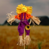 Огородное пугало «Солнце», h = 50 см, МИКС, Greengo Огородное пугало «Солнце», h = 50 см, МИКС, Greengo