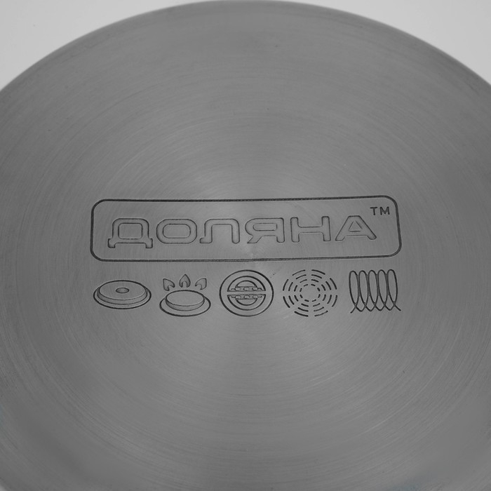 Кастрюля из нержавеющей стали Доляна &laquo;Гиперион&raquo;, 3,5 л, d=20 см, с крышкой