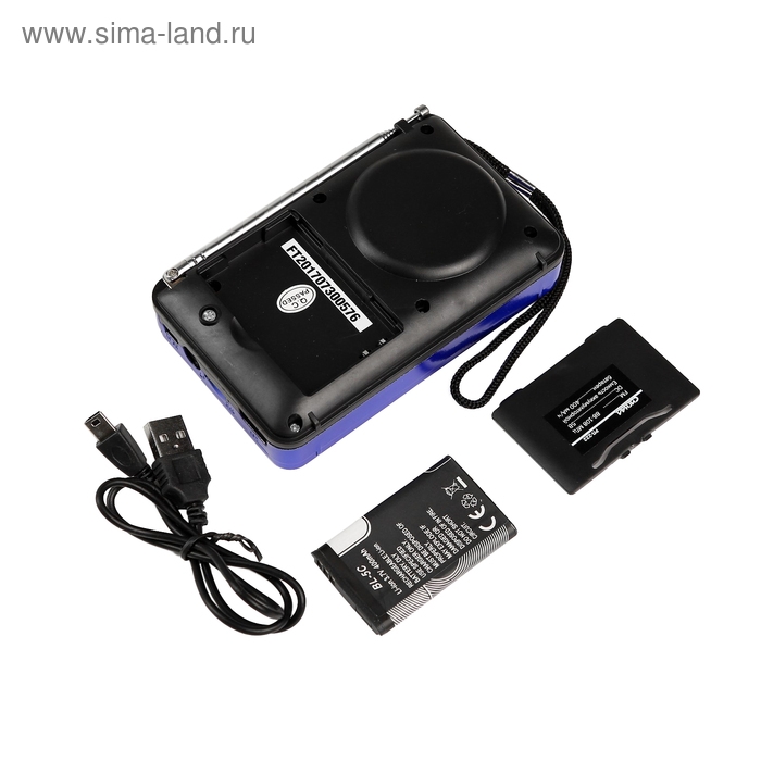 Радиоприемник Радиоприемник "Сигнал" РП-222, 220 В, аккумулятор 400 мАч, USB, SD, дисплей