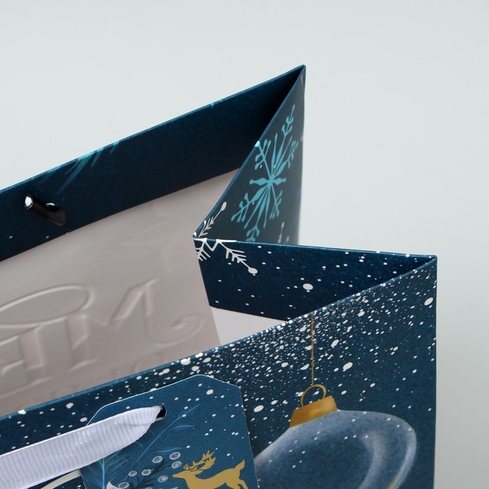 Пакет подарочный новогодний ламинированный вертикальный, конгревное тиснение «Мечты сбудутся», ML 23 х 27 х 11.5 см, Новый год Пакет подарочный новогодний ламинированный вертикальный, конгревное тиснение «Мечты сбудутся», ML 23 х 27 х 11.5 см, Новый год