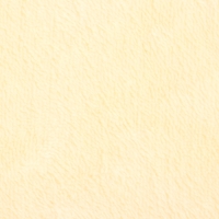 Плед LoveLife "Кот в штанах" 80*100см, корал-флис, 200 гр/м2