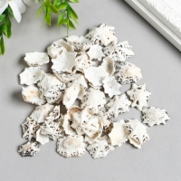 Ракушки декоративные "Zlatka" 100 г &plusmn; 5 г, 2.5 см