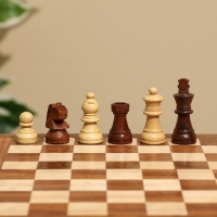 Игра настольная 2в1 (шахматы + бэкгэммон), доска 20х20 см, дерево шишам