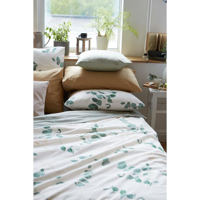 Постельное белье Этель евро &laquo;Эвкалипт&raquo; (вид 1) 200*217 см,240*220 см,70*70 см -2 шт