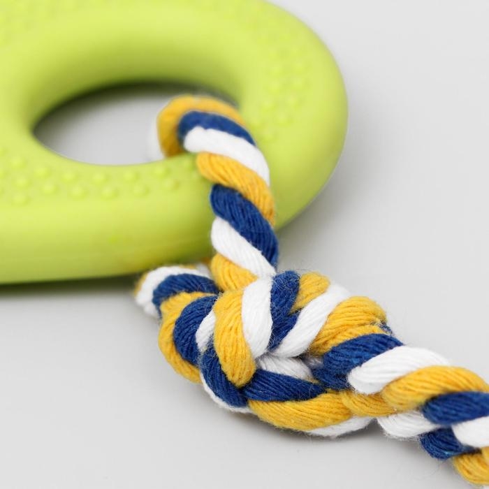Игрушка жевательная с канатом для собак Игрушка жевательная с канатом для собак "Ладошка", 10 см, салатовая