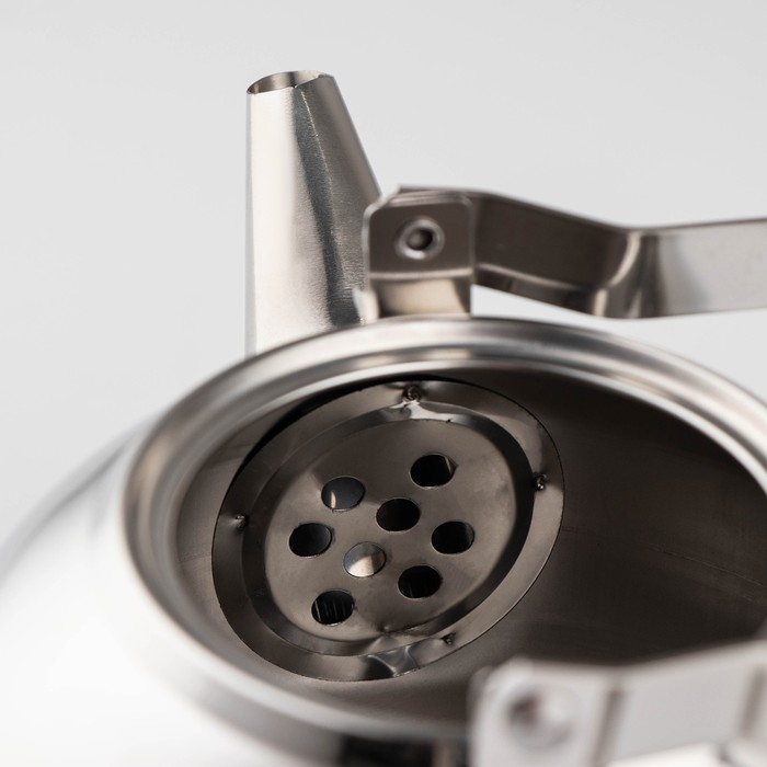 Чайник из нержавеющей стали &laquo;Жуан&raquo;, 1 л, металлическое сито, цвет хромированный