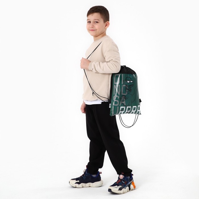 Мешок для обуви &laquo;Динозавр&raquo; 30 х 40 см