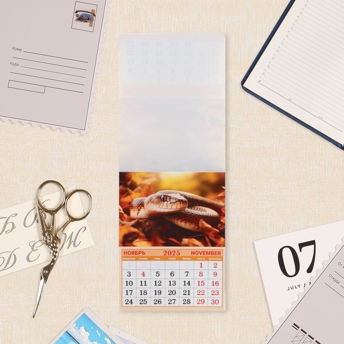 Календарь отрывной на магните Календарь отрывной на магните "Символ года - 5" 2025 год, 9,5 х 13 см