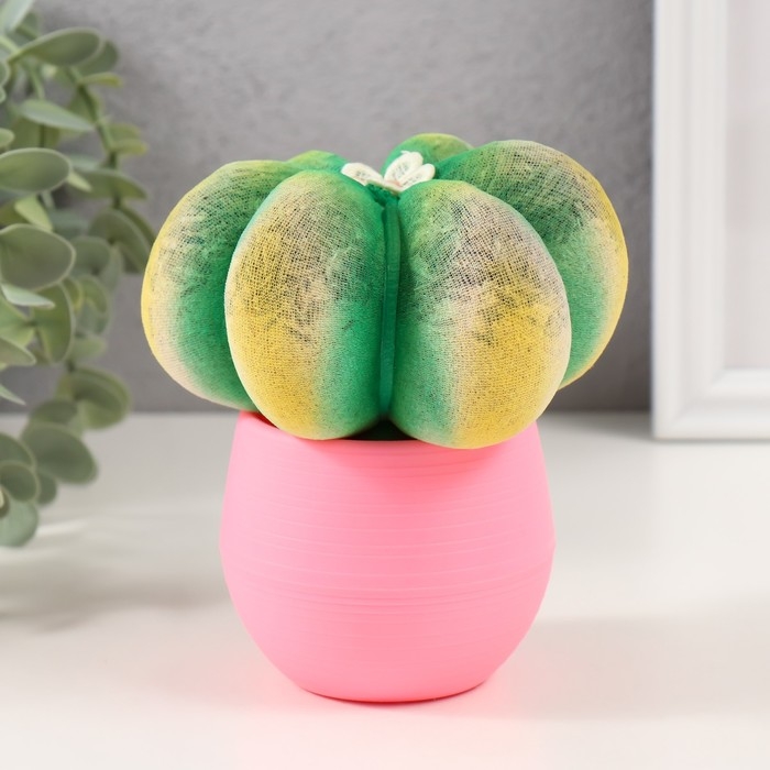 Растущий подарок травка Экоживчик "Кактус Астрофитум" розовый