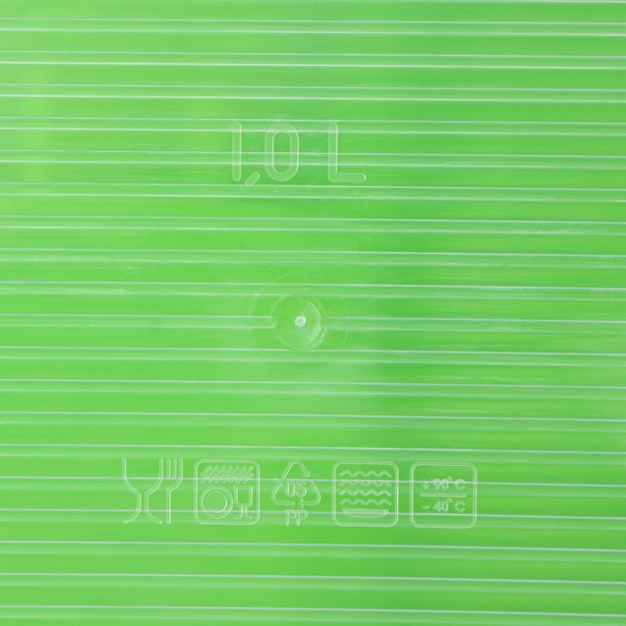 Набор пищевых контейнеров «BioFresh», 4 шт: 500 мл, 1 л, 1,6 л, 2,3 л, прозрачные, крышки микс Набор пищевых контейнеров «BioFresh», 4 шт: 500 мл, 1 л, 1,6 л, 2,3 л, прозрачные, крышки микс