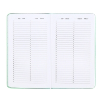 Планинг карманный недатированный, 80 листов, 100 х 170мм, deVENTE.Elizabeth, твердая обложка кожзам с поролоном, хлястик, блок 70, зеленый