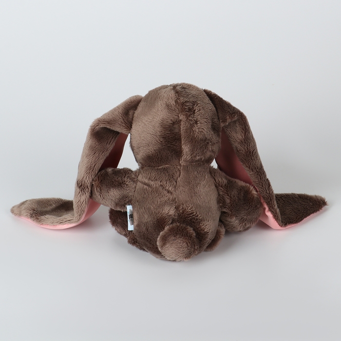 Мягкая игрушка &laquo;Зайка Li&raquo;, с книгой, девочка, заяц, 25 см