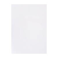 Бумага для пастели А3, 20 листов "Тигр", блок 160 г/м2, в папке Бумага для пастели А3, 20 листов "Тигр", блок 160 г/м2, в папке