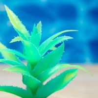 Растение искусственное аквариумное, светящееся, 10 см, зелёное Растение искусственное аквариумное, светящееся, 10 см, зелёное