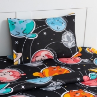 Постельное бельё Этель 1,5 сп "Cats and space", 143х215 см, 150х214 см, 50х70 см -1 шт, 100% хлопок, бязь Постельное бельё Этель 1,5 сп "Cats and space", 143х215 см, 150х214 см, 50х70 см -1 шт, 100% хлопок, бязь