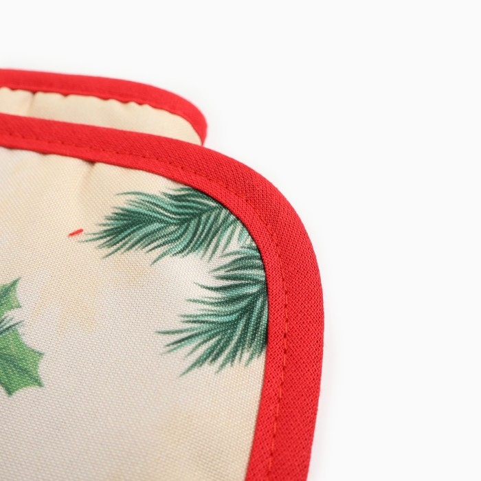 Набор кухонный Доляна Friendly snake: прихватка 17х17 см, варежка-прихватка 20х28 см, 35% хлопок, 65% п/э