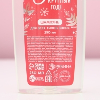 Подарочный набор косметики новогодний &laquo;Исполнения желаний!&raquo;, гель для душа и шампунь для волос, 2 х 250 мл, Новый Год