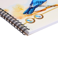 Альбом для рисования А4, 40 листов на спирали, Erich Krause Birds, блок 120 г/м&sup2;, 100% белизна, перфорация для отрыва, твёрдая подложка