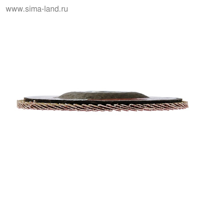 Круг лепестковый торцевой ЛОМ, 115 х 22 мм, Р120 Круг лепестковый торцевой ЛОМ, 115 х 22 мм, Р120