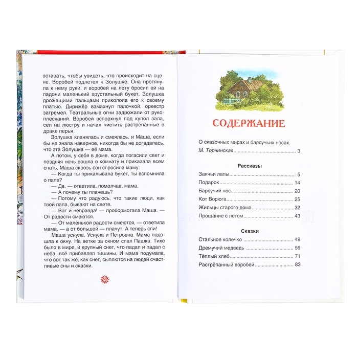 Книга &laquo;Рассказы и сказки для детей&raquo;, Паустовский К.Г., внеклассное чтение