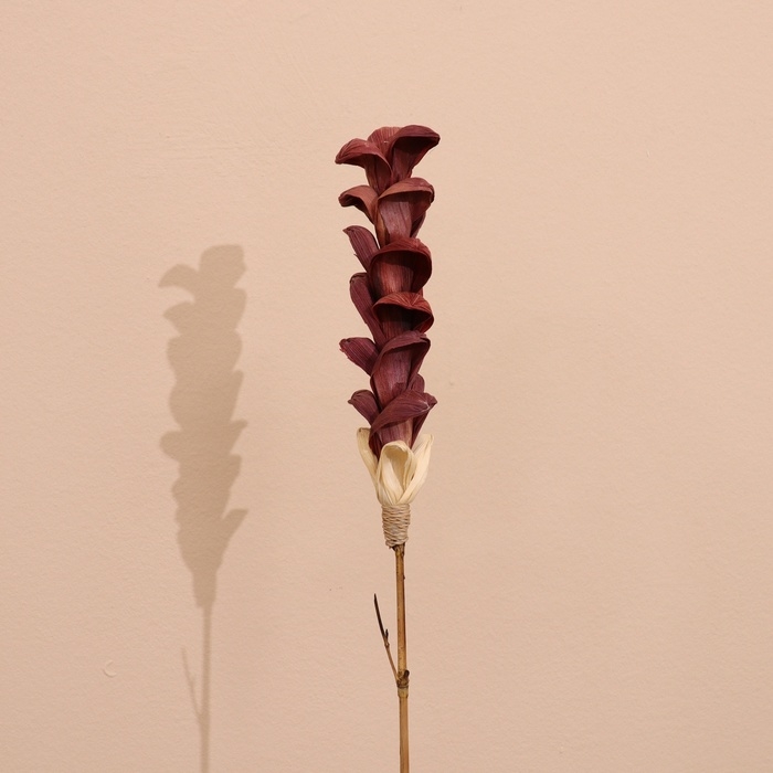 Сухоцвет на бамбуковом стебле 150 см фиолетовый