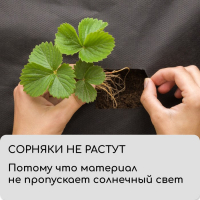 Материал мульчирующий, с перфорацией, 10 &times; 1,6 м, плотность 80 г/м&sup2;, спанбонд с УФ-стабилизатором, чёрный, Greengo, Эконом 30%
