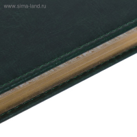 Ежедневник недатированный А4, 136 листов Sidney Nebraska, твёрдая обложка, искусственная кожа, золотой срез, ляссе, зелёный Ежедневник недатированный А4, 136 листов Sidney Nebraska, твёрдая обложка, искусственная кожа, золотой срез, ляссе, зелёный