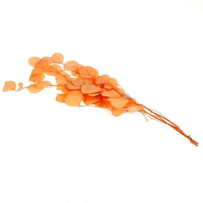 Сухоцвет персикого дерева, 50 г, длина &mdash; 70 см, цвет нежно-розовый