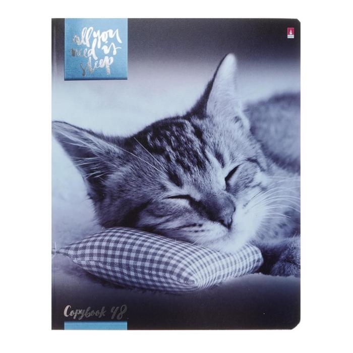 Тетрадь 48 листов в клетку Тетрадь 48 листов в клетку "Котята мур-мур", обложка мелованный картон, гибридный лак, фольга, МИКС