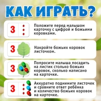 Развивающий набор &laquo;Считаем букашек&raquo;