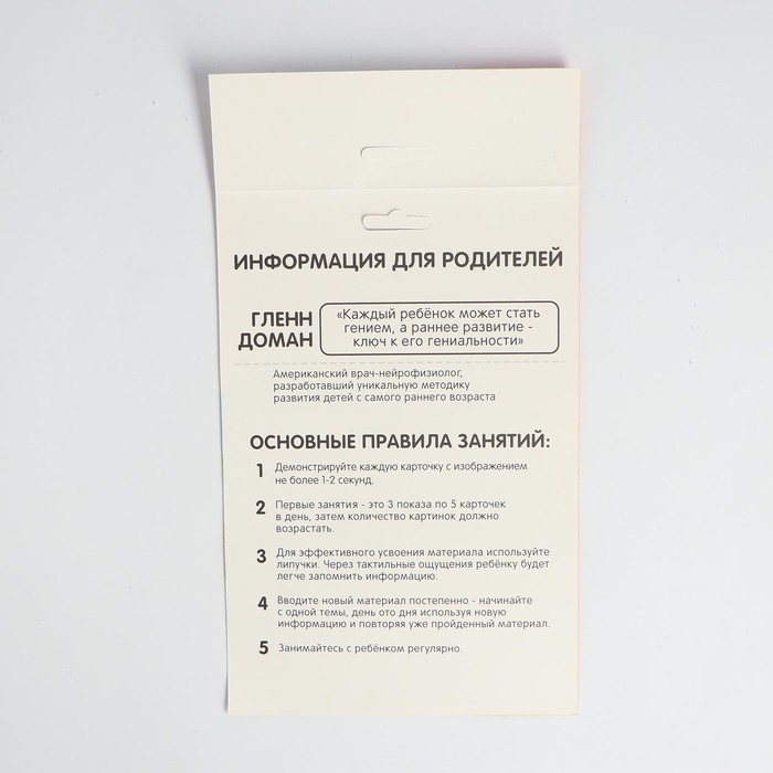 Развивающая игра на липучках &laquo;&lrm;Изучаем транспорт вместе&raquo;, методика Домана, с обучающими карточками по методике Глена Домана