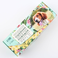 Набор &laquo;Цветы&raquo;, застёжка - фастекс, поводок 2 м и ошейник 28-46 см