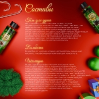 Новогодний подарочный набор косметики «Волшебница зима» для душа и ванны, зеленая серия Новогодний подарочный набор косметики «Волшебница зима» для душа и ванны, зеленая серия