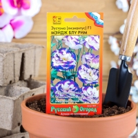 Семена Цветы Эустома срезочная Мэйдж блу рим F1 (5шт) Семена Цветы Эустома срезочная Мэйдж блу рим F1 (5шт)