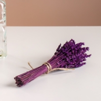 Набор сухоцветов "Лаванда", банч длина 15 (+/- 6 см), сиреневый